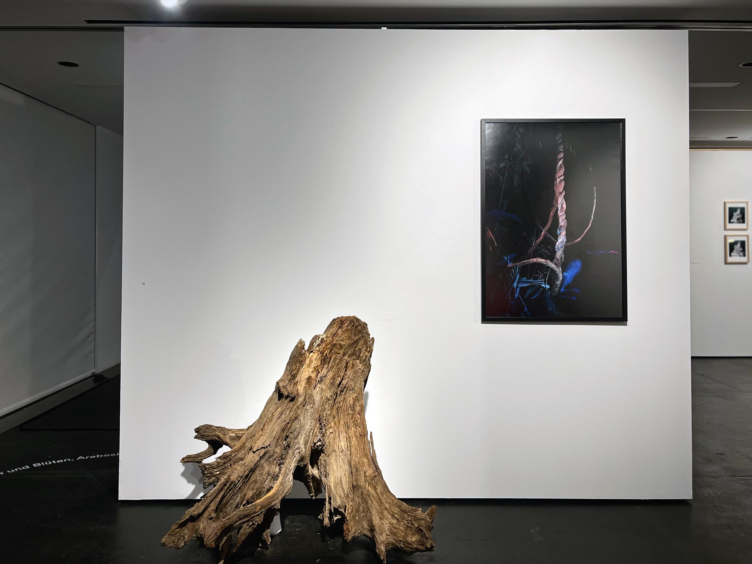 Installation at Kornhaus Forum, Berm. 2025