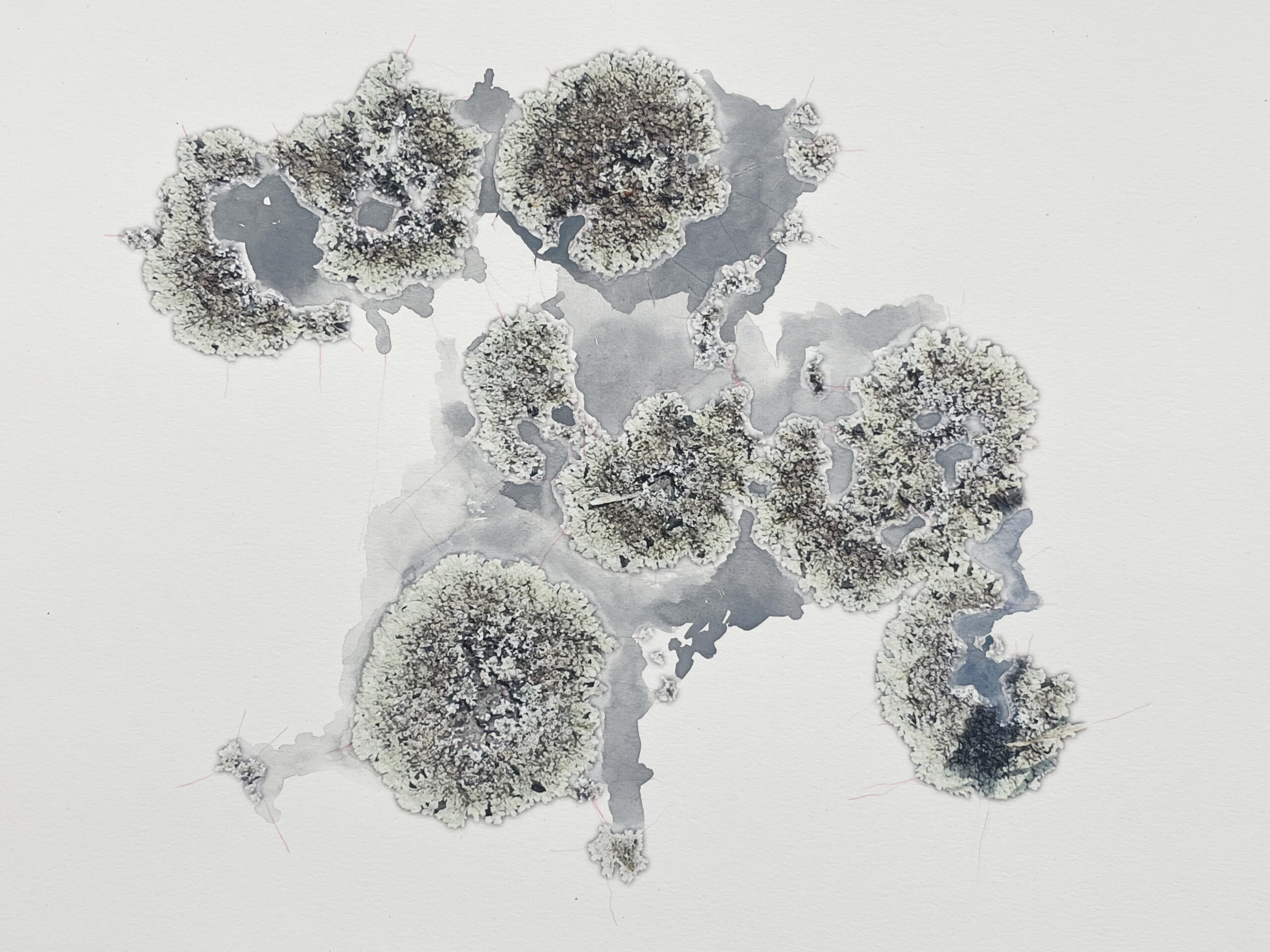 Work by Ursula Damm
