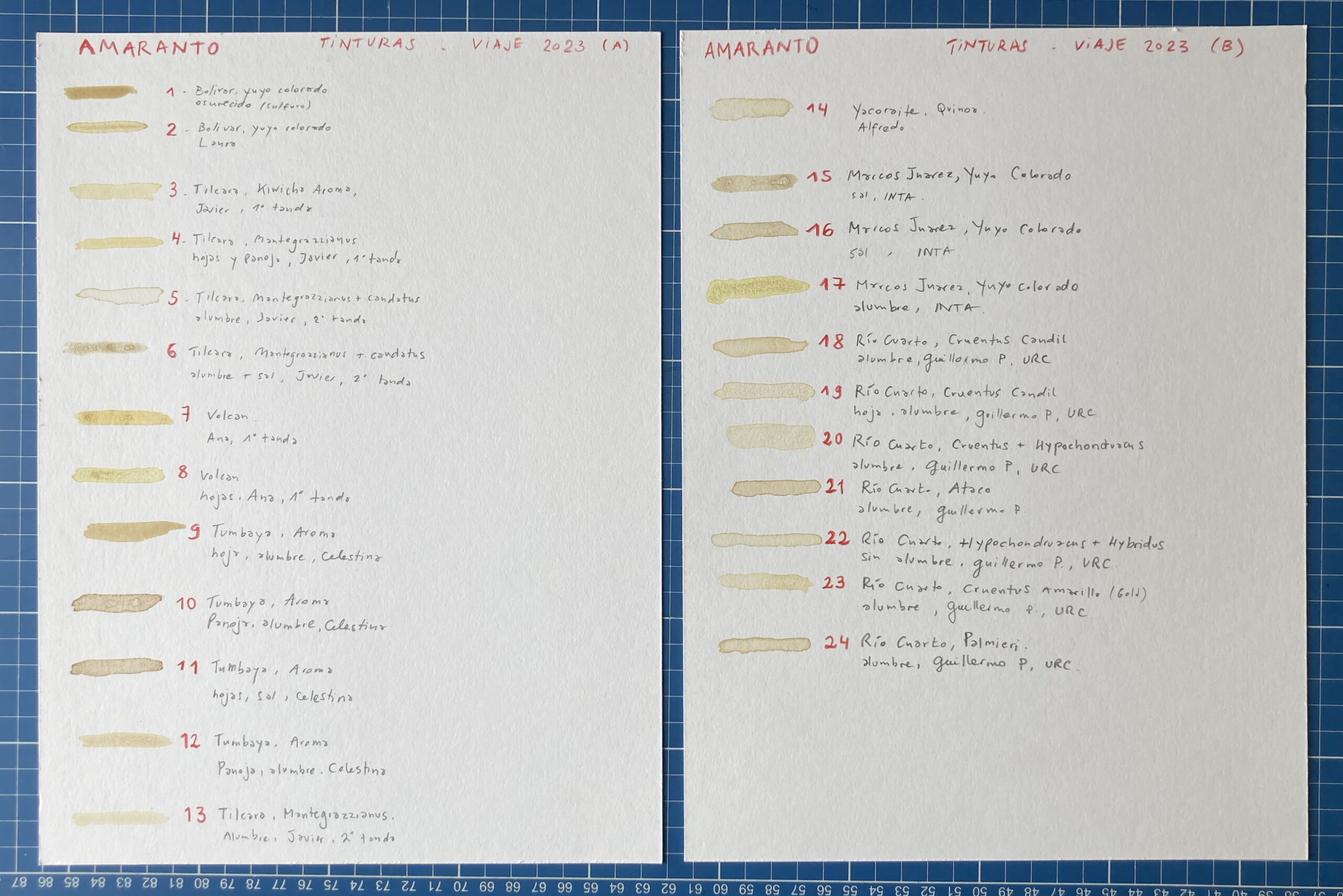 Color pattern of the obtained 24 pigments