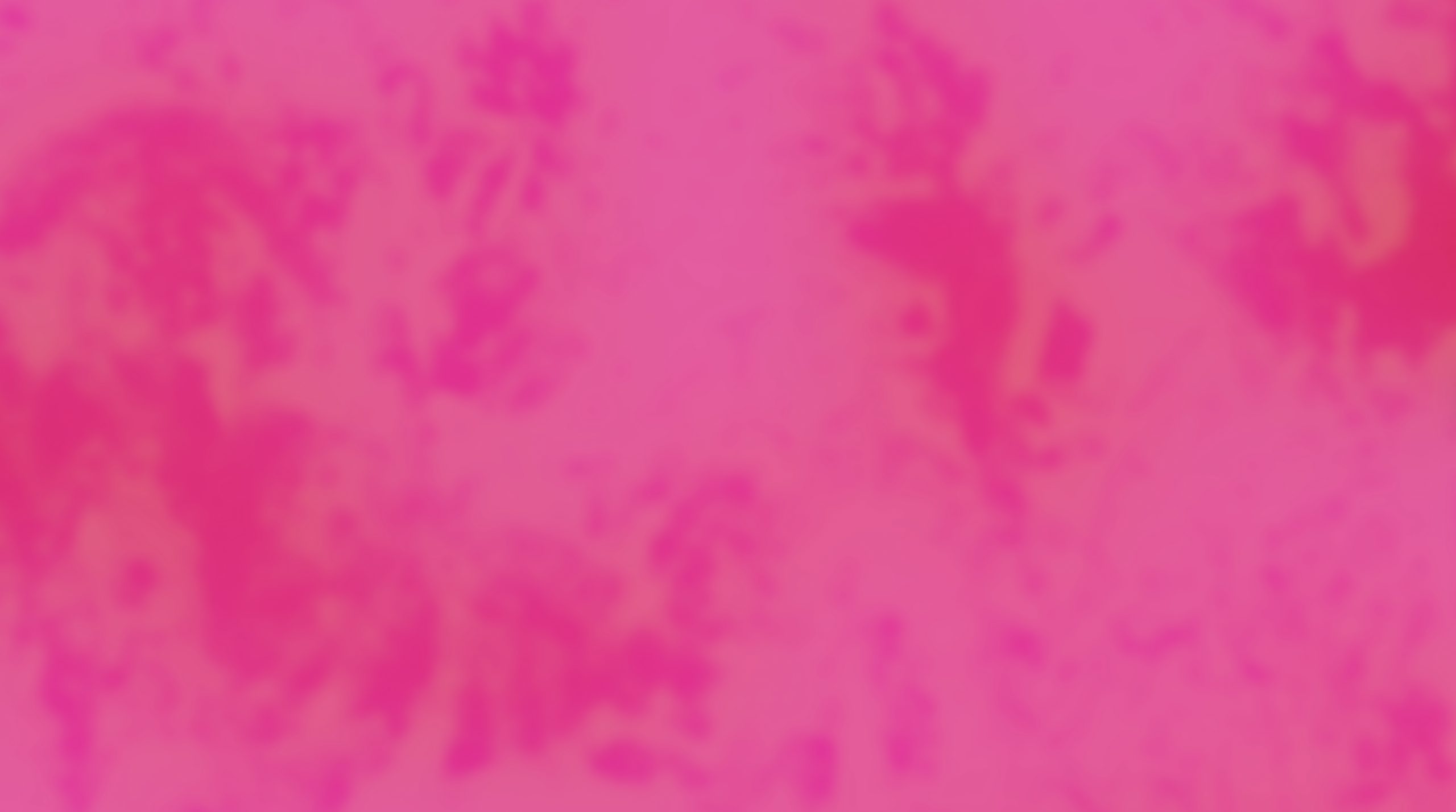 Still Image from the video KIWICHA