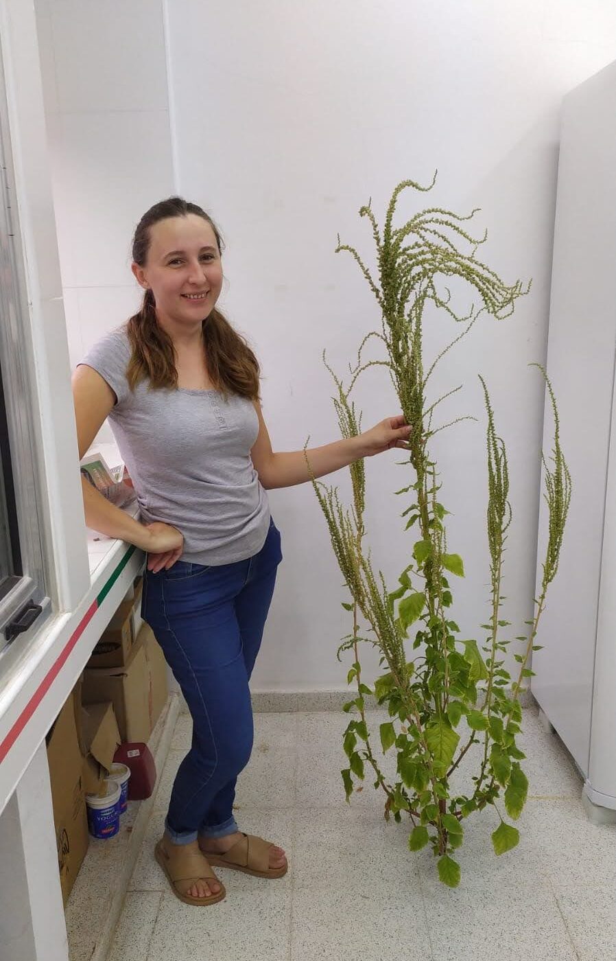 Doctoral Candidate Ana Schneider, Universidad Nacional del Litoral