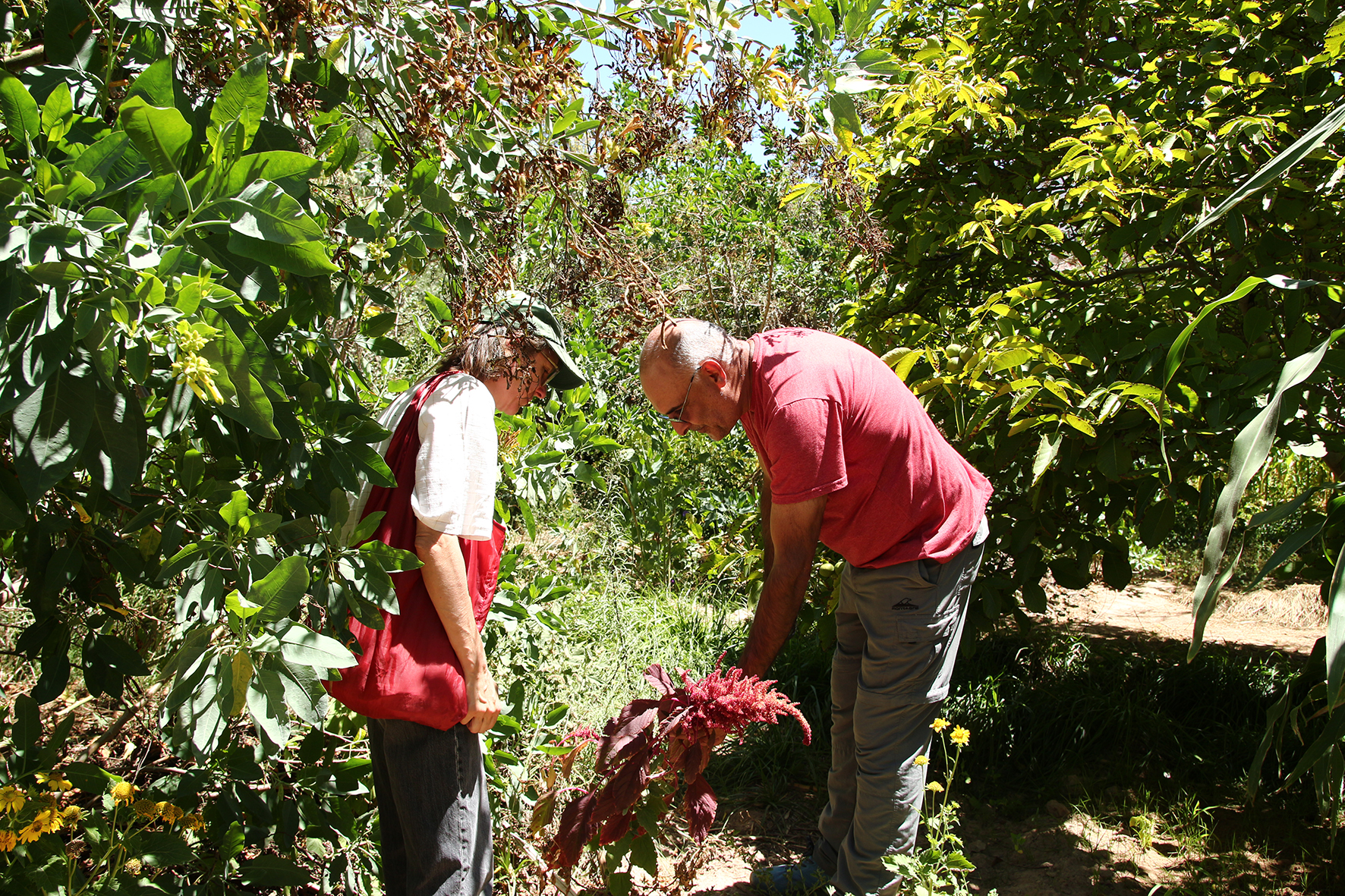 Javier Rodríguez and Julia Mensch, Tilcara, Jujuy Province