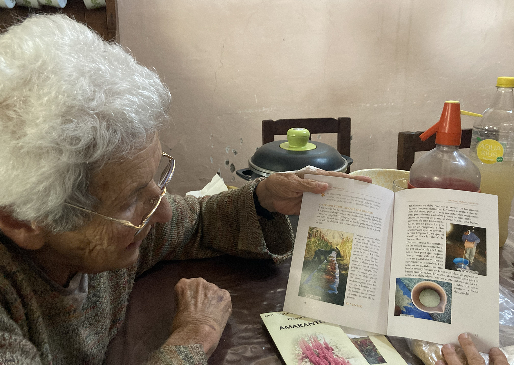 Ana Barcena's home, Volcán, Jujuy Province