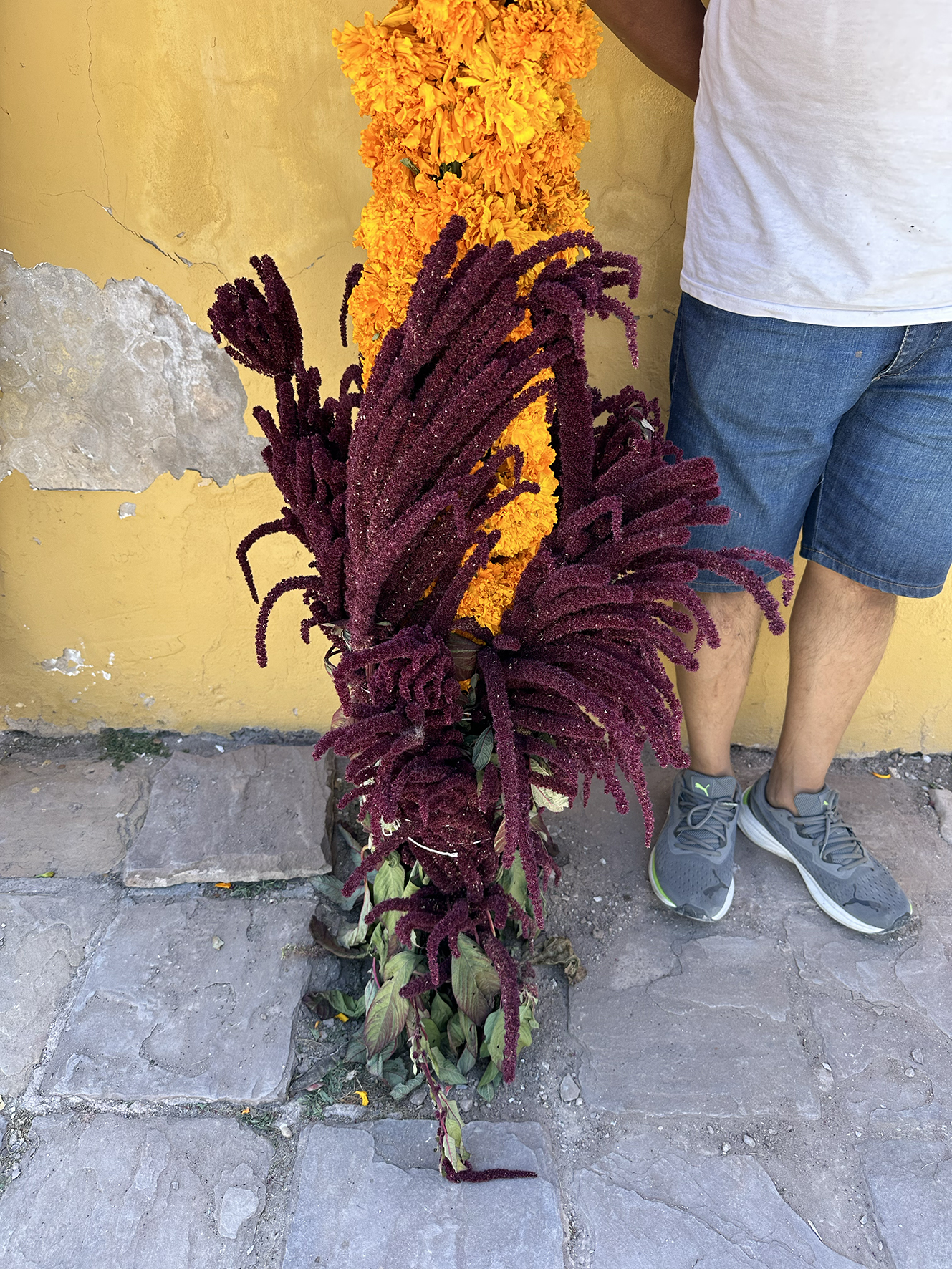Domingo de Ramos's decoration, Tumbaya, Jujuy Province