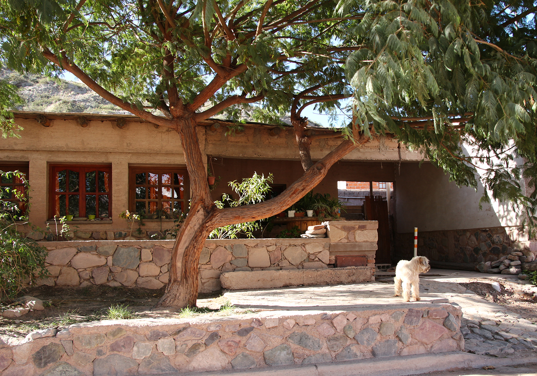 Celestina Abalos's home, Tumbaya, Jujuy Province