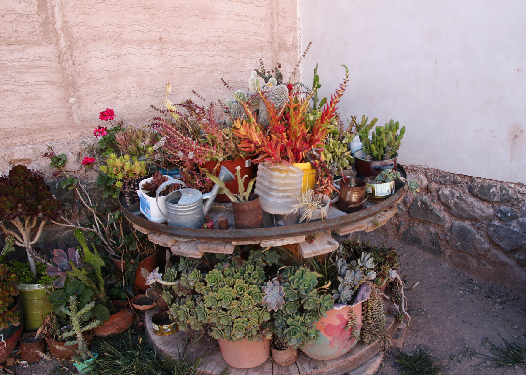 Celestina Abalos's garden, Tumbaya, Jujuy Province