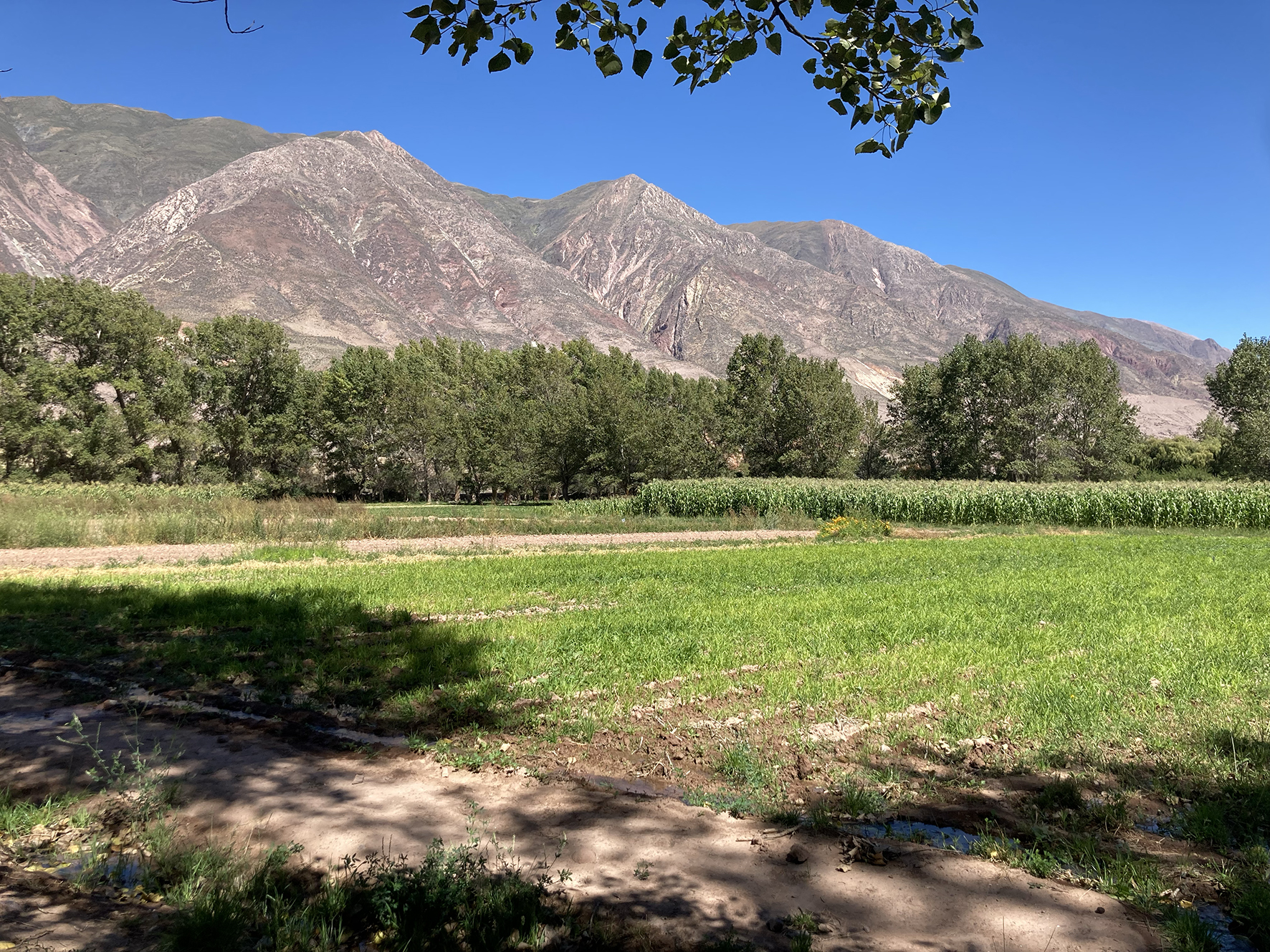 HORNILLOS, Jujuy Province