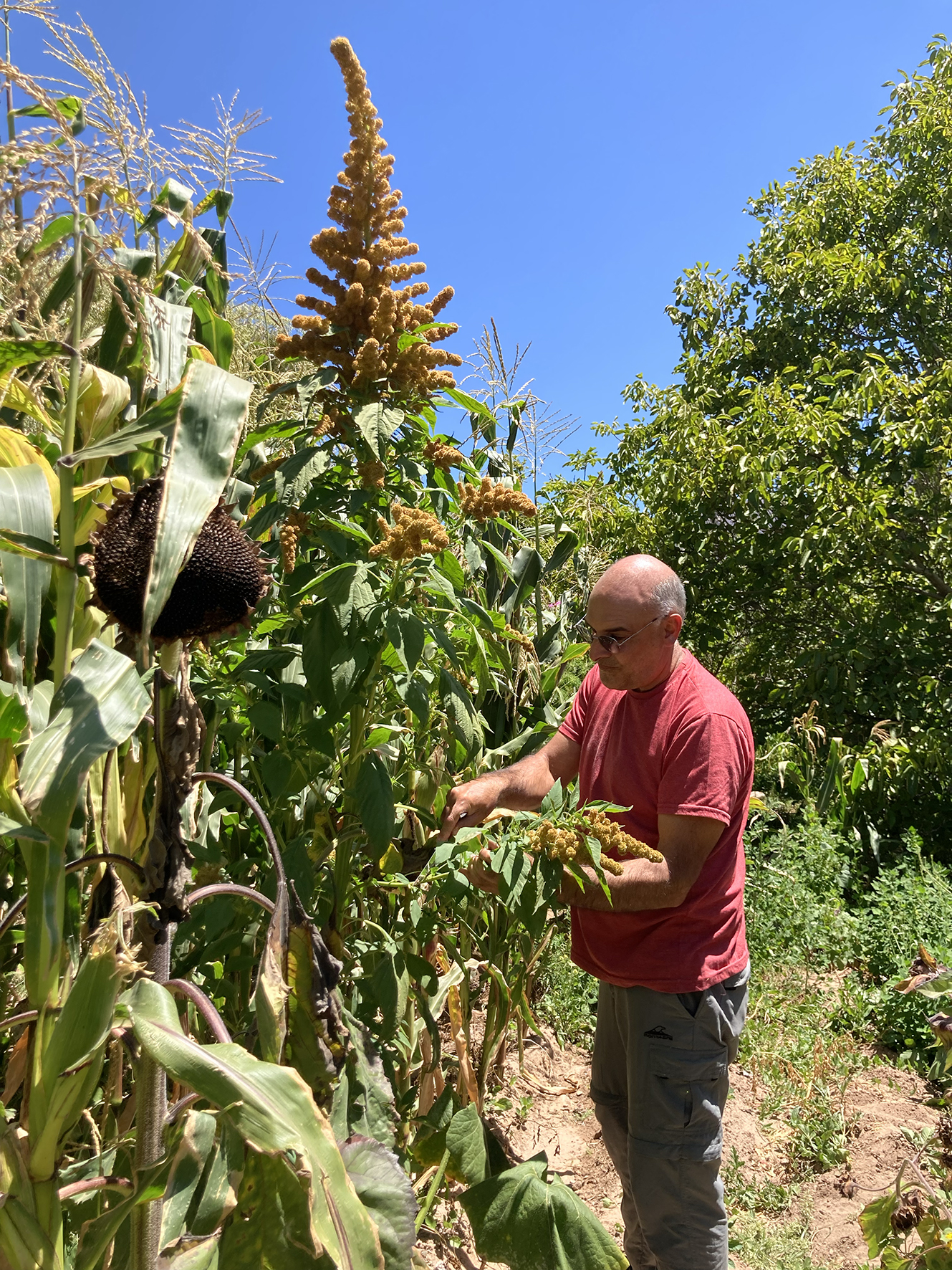Agroecologist Javier Rodríguez, Tilcara, Jujuy Province