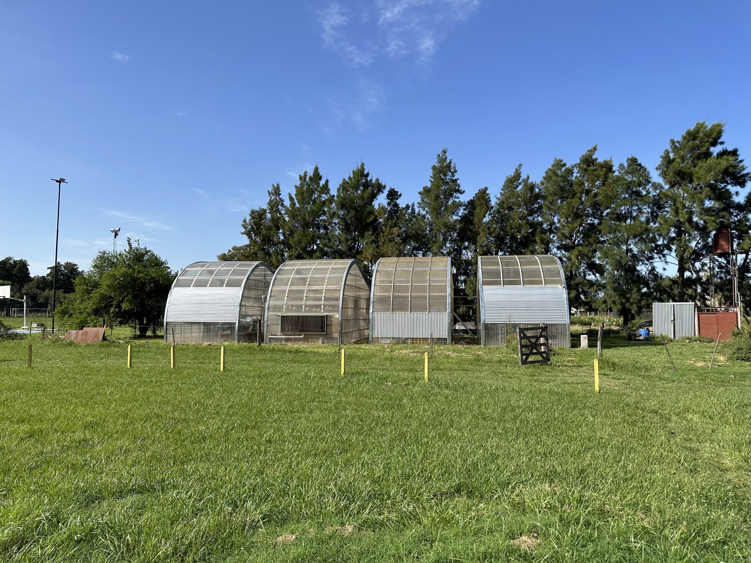 Greenhouse, Universidad Nacional del Litoral
