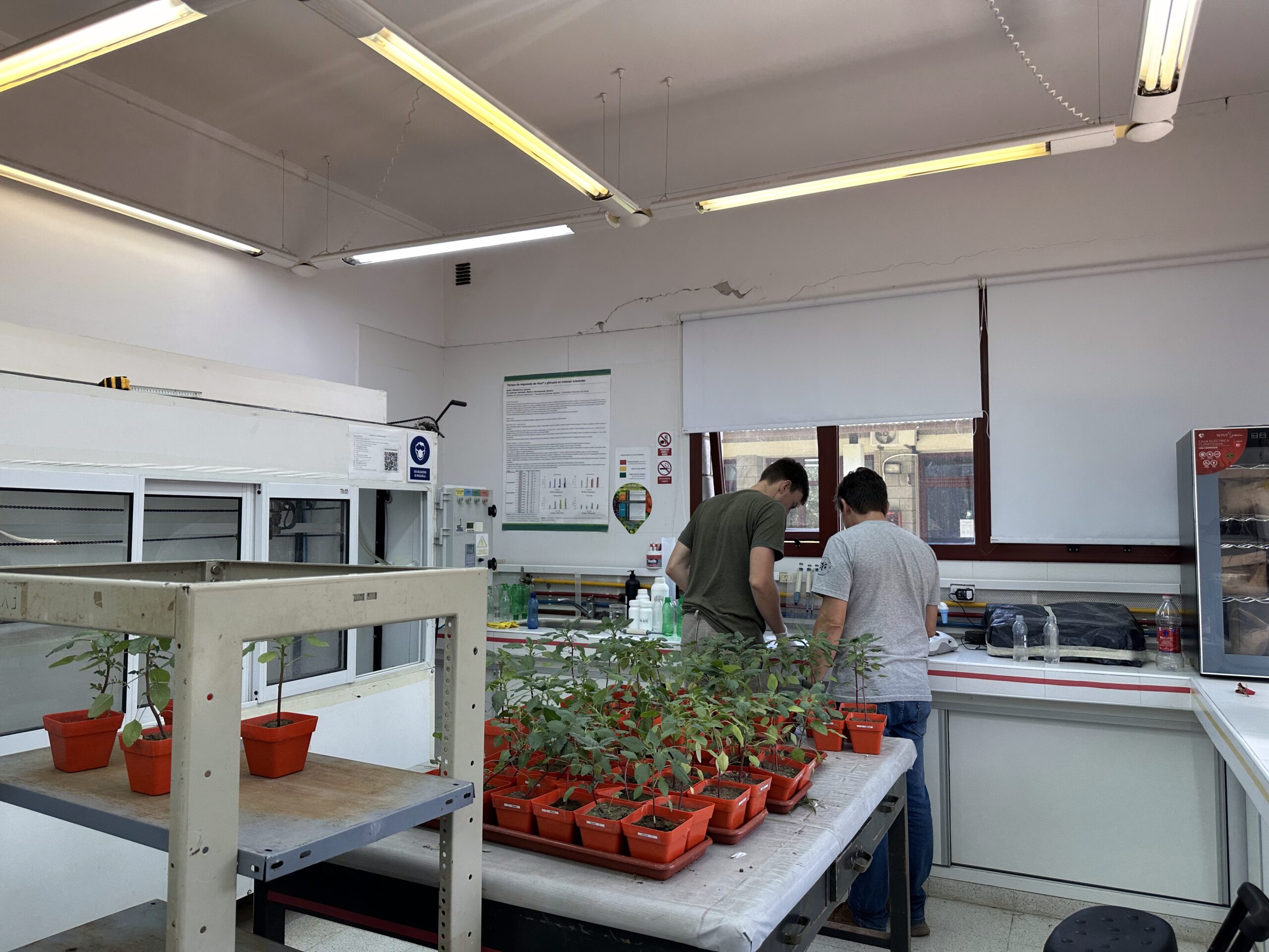 MEP, Laboratory for the Analysis and Modeling of the Structure of Cultivated Plants and Weeds, Universidad Nacional del Litoral